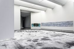 Installation view, 'Pierre Huyghe', Los Angeles County Museum of Art, Los Angeles, November 2014 – February 2015
