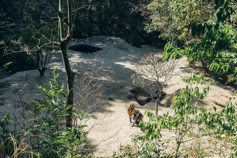 Thumbnail Image for Ursula Article titled Pierre Huyghe in Parcours
