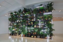 Installation view, ‘Rashid Johnson. Hail We Now Sing Joy’, Milwaukee Art Museum, WI