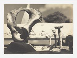 Untitled (Virgin Islands Tableau)