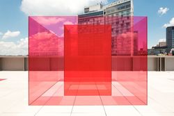 Pacific Red (V)