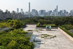 Installation view of The Roof Garden Commission: Pierre Huyghe at The Metropolitan Museum of Art