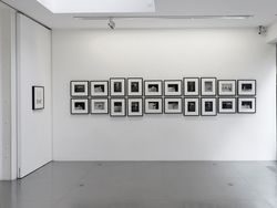 Fotorzeźby (Photosculptures)
