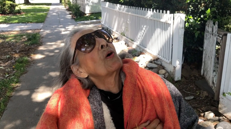 Thumbnail Image for Ursula Article titled From Los Angeles: Luchita Hurtado