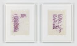 Untitled (Solo shows, Group shows)
