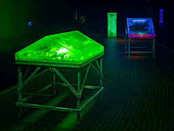 Installation view, ‘Tetsumi Kudo: Cultivation’, Louisiana Museum of Modern Art, Humlebæk, Denmark, 2020 – 2021