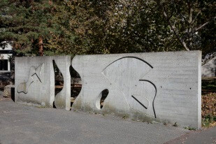 Arp img1
