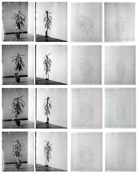 Thumbnail Image for Ursula Article titled The Shadow and the Gap: A rare look at Charles Gaines’ Shadows series