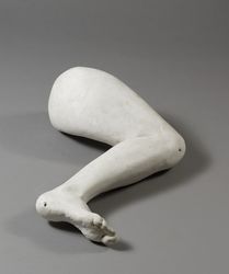Noga (Leg)