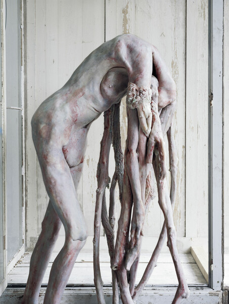 Thumbnail image for press titled Suffering and Desire: A Conversation with Berlinde De Bruyckere