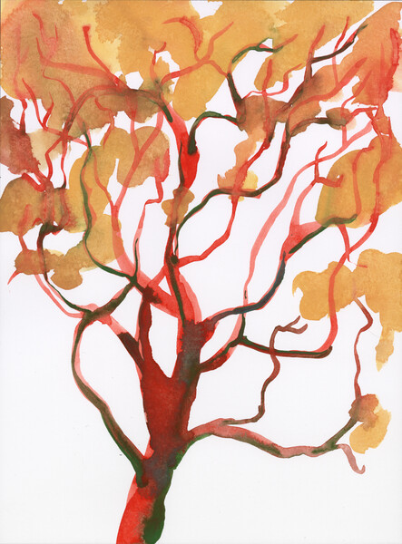 Thumbnail Image for Ursula Article titled Seeing the Forest for the Trees
