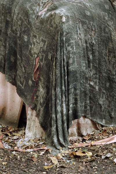 Thumbnail Image for Ursula Article titled Berlinde De Bruyckere: Wax Blankets