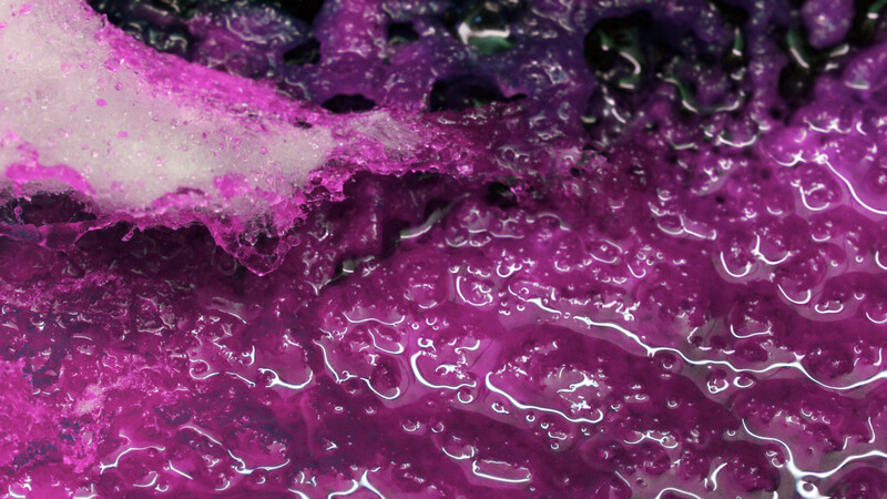 Thumbnail Image for Ursula Article titled Travels through Mika Rottenberg’s Spaghetti Blockchain